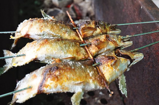 天然鮎の塩焼き